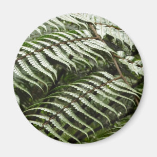 Fern Fronds II Donkere groene Natuur Magneet