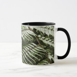 Fern Fronds II Donkere groene Natuur Mok