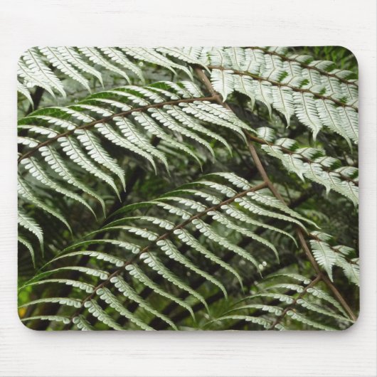 Fern Fronds II Donkere groene Natuur Muismat (Voorkant)