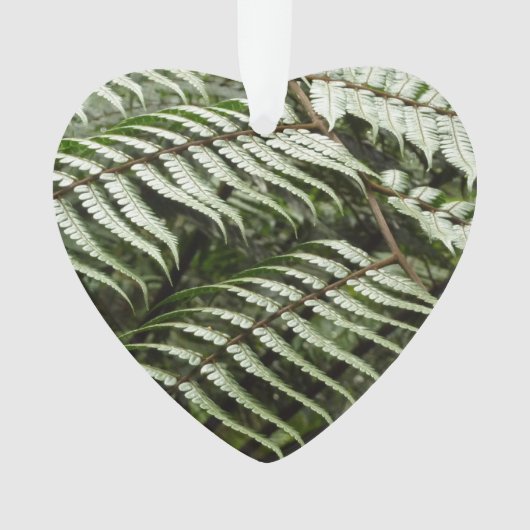 Fern Fronds II Donkere groene Natuur Ornament (voorkant)