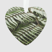 Fern Fronds II Donkere groene Natuur Ornament (achterkant)