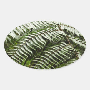 Fern Fronds II Donkere groene Natuur Ovale Sticker