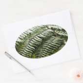 Fern Fronds II Donkere groene Natuur Ovale Sticker (Envelop)