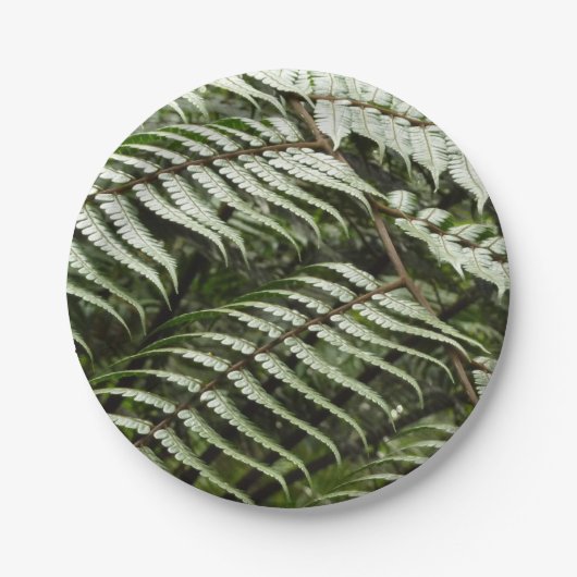 Fern Fronds II Donkere groene Natuur Papieren Bordje (Voorkant)