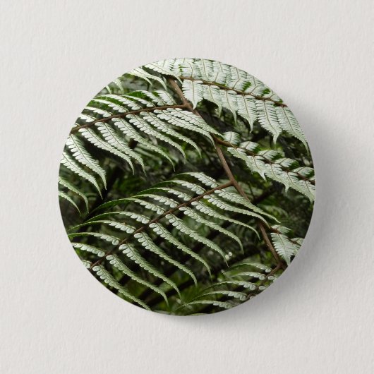 Fern Fronds II Donkere groene Natuur Ronde Button 5,7 Cm (Voorkant)