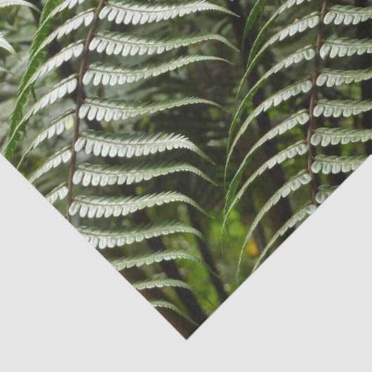 Fern Fronds II Donkere groene Natuur Tissuepapier (Detail)