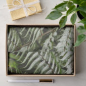Fern Fronds II Donkere groene Natuur Tissuepapier (Geschenk)