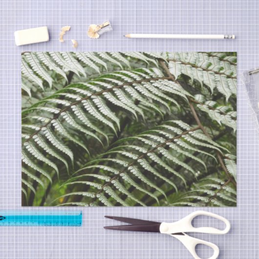 Fern Fronds II Donkere groene Natuur Tissuepapier (Craft)