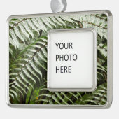 Fern Fronds II Donkere groene Natuur Verzilverd Omlijst Ornament (Links)