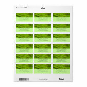 Fern Fronds III Green Natuur Botanical Etiket (Full Sheet)