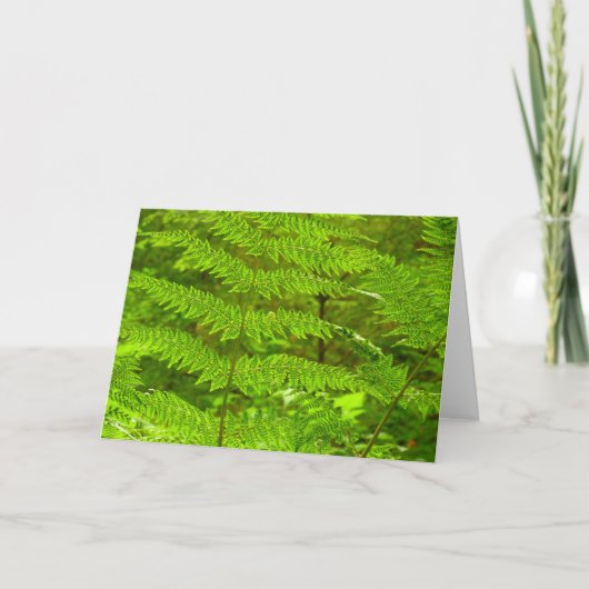 Fern Fronds III Green Natuur Botanical Kaart (Voorkant)