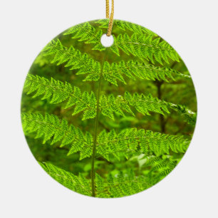 Fern Fronds III Green Natuur Botanical Keramisch Ornament