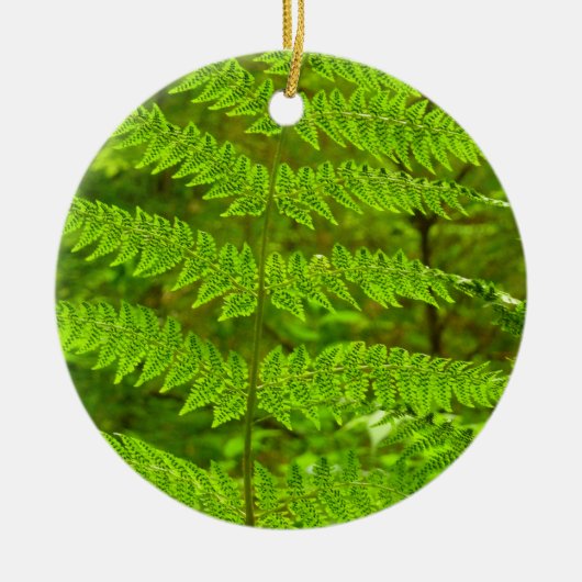 Fern Fronds III Green Natuur Botanical Keramisch Ornament (Voorkant)