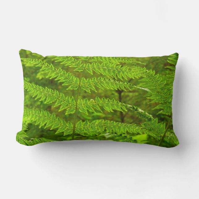 Fern Fronds III Green Natuur Botanical Kussen (Voorkant)