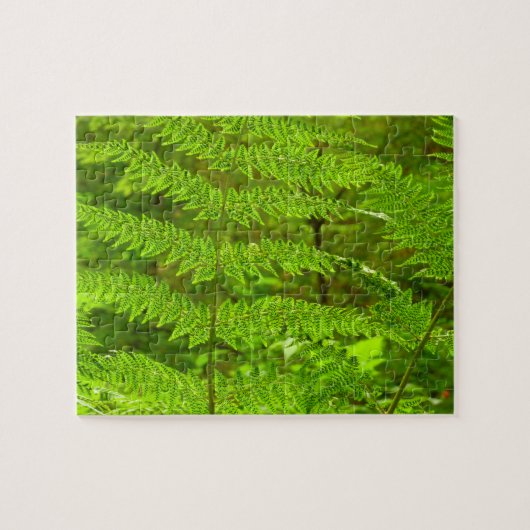 Fern Fronds III Green Natuur Botanical Legpuzzel (Horizontaal)
