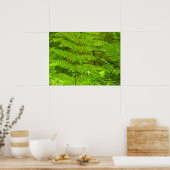 Fern Fronds III Green Natuur Botanical Poster (Keuken)