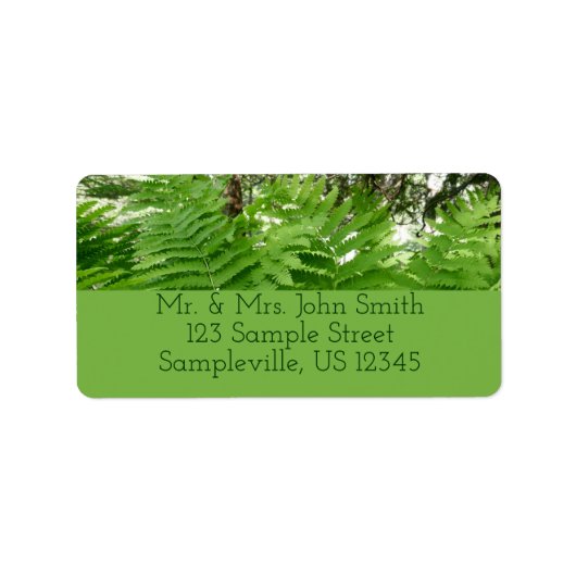 Fern Fronds IV Groene Natuur Botanisch Etiket (Voorkant)