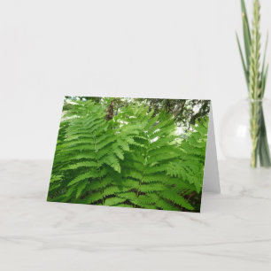Fern Fronds IV Groene Natuur Botanisch Kaart