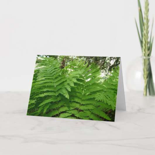 Fern Fronds IV Groene Natuur Botanisch Kaart (Voorkant)