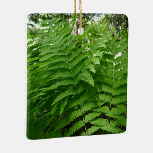 Fern Fronds IV Groene Natuur Botanisch Keramisch Ornament (Rechts)