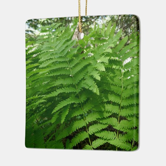 Fern Fronds IV Groene Natuur Botanisch Keramisch Ornament (Links)