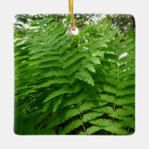 Fern Fronds IV Groene Natuur Botanisch Keramisch Ornament