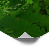 Fern Fronds IV Groene Natuur Botanisch Poster (Hoek)