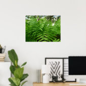 Fern Fronds IV Groene Natuur Botanisch Poster (Thuiskantoor)