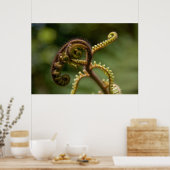 Fern Fronds Poster (Keuken)