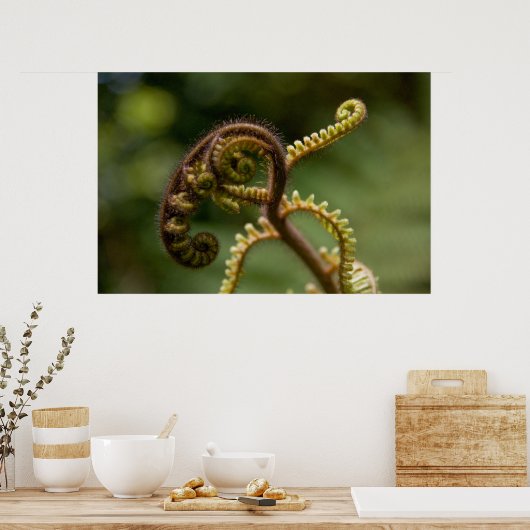 Fern Fronds Poster (Keuken)
