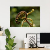 Fern Fronds Poster (Thuiskantoor)