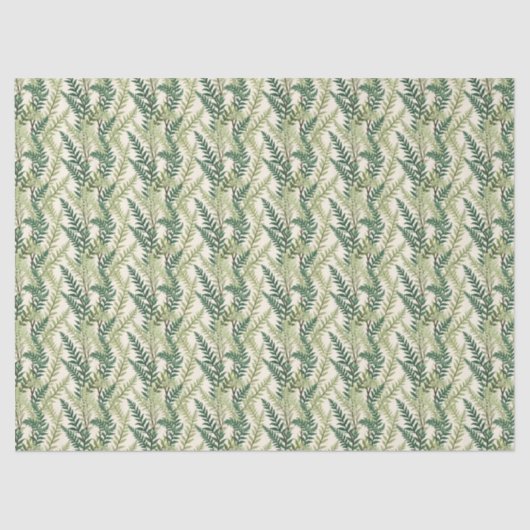Fern Fronds Tissuepapier (Voorkant)
