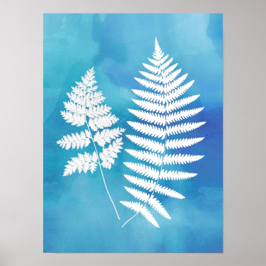 Fern Fronds, White on Blue Waterverf Background Poster (Voorkant)
