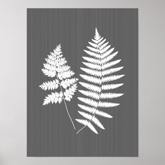 Fern Fronds, White on Charcoal Grey / Grey Poster (Voorkant)