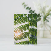 fern golly briefkaart (Staand voorkant)