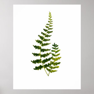Fern Green Leaves Botanische Waterverf Natuur Poster