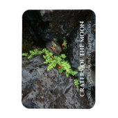 Fern Growing in Lava, Craters of the Moon, Idaho Magneet (Verticaal)