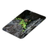 Fern Growing in Lava, Craters of the Moon, Idaho Magneet (Linkerzijde)