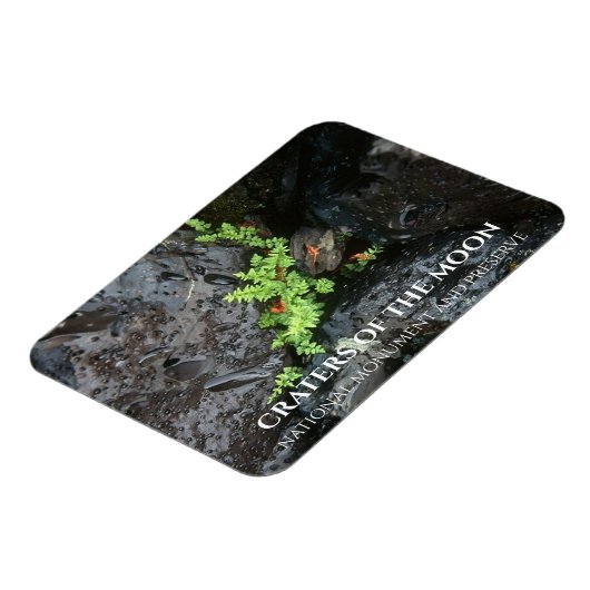 Fern Growing in Lava, Craters of the Moon, Idaho Magneet (Linkerzijde)