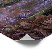 Fern gully poster (Hoek)