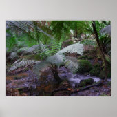 Fern gully poster (Voorkant)