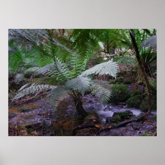 Fern gully poster (Voorkant)