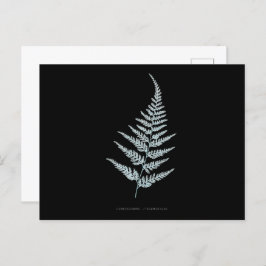 Fern - Gymnogramma L'herminieri. Röntgenfoto-effec Briefkaart
