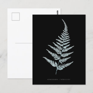 Fern - Gymnogramma L'herminieri. Röntgenfoto-effec Briefkaart