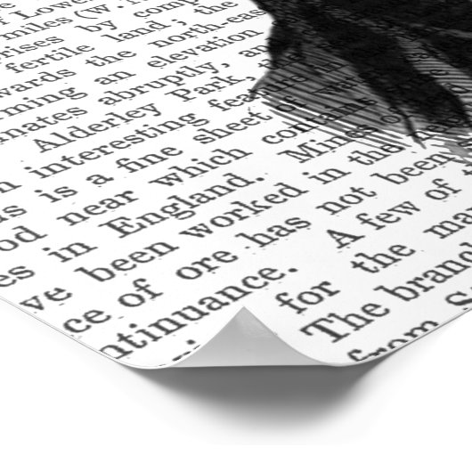 Fern Head Plant Poster (Hoek)