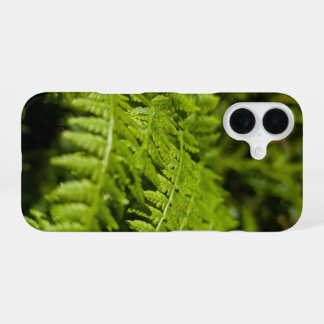fern iPhone 16 hoesje