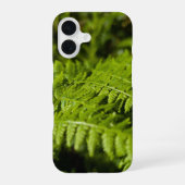 fern iPhone 16 hoesje (Achterkant)