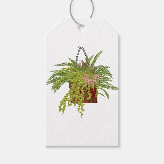 Fern Ivy Hanging Plant Botanical Illustration Art Cadeaulabel (Voorkant)