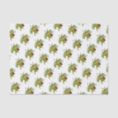 Fern Ivy Hanging Plant Botanische Illustratie Kuns Tissuepapier (Voorkant)