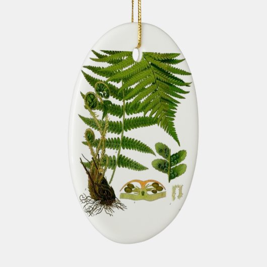 Fern Keramisch Ornament (Rechts)
